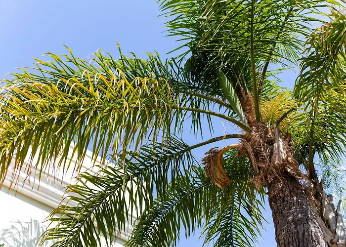 Charming With Private Pool By Lovelystay Βίλα *