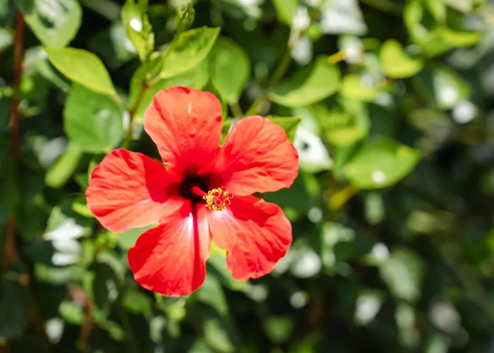 Charming With Private Pool By Lovelystay *